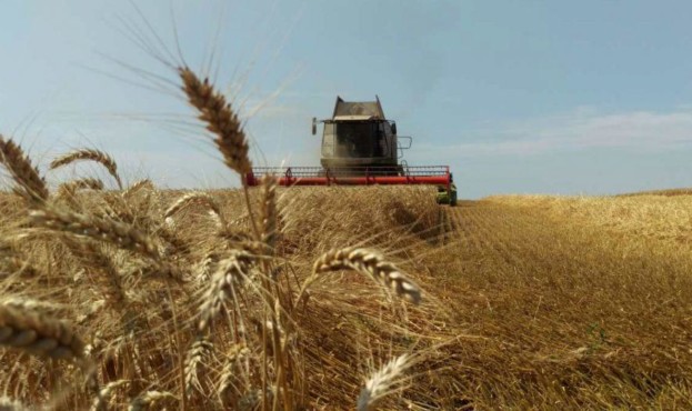 Показники врожайності зернових та олійних культур, дають надію на те, що Україні вдасться забезпечити внутрішній і зовнішній ринки – Марчук Показники врожайності зернових та олійних культур, дають надію на те, що Україні вдасться забезпечити внутрішній і зовнішній ринки – Марчук