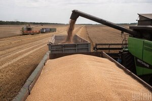 Режим экспорта украинского зерна в ЕС скоро вновь пересмотрят. Какие возможности рискуем утратить?
