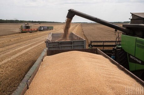 Режим експорту українського зерна до ЄС скоро вкотре переглядатимуть. Які можливості ризикуємо втратити?
