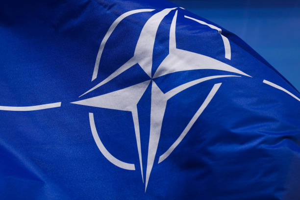 Міністри оборони країн НАТО проведуть засідання у жовтні Міністри оборони країн НАТО проведуть засідання у жовтні