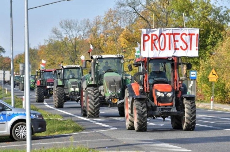 Польські фермери протестують Польща офіційно висловилася про заборону українського збіжжя: що далі?