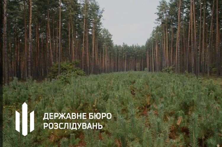 Посадовці лісгоспу на Волині дозволили незаконну вирубку дерев на 21 млн грн