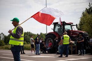 Аграрні козирі: українське зерно стало частиною передвиборчих кампаній у Східній Європі. Хто, як і навіщо «прокачує» цю тему в Польщі?