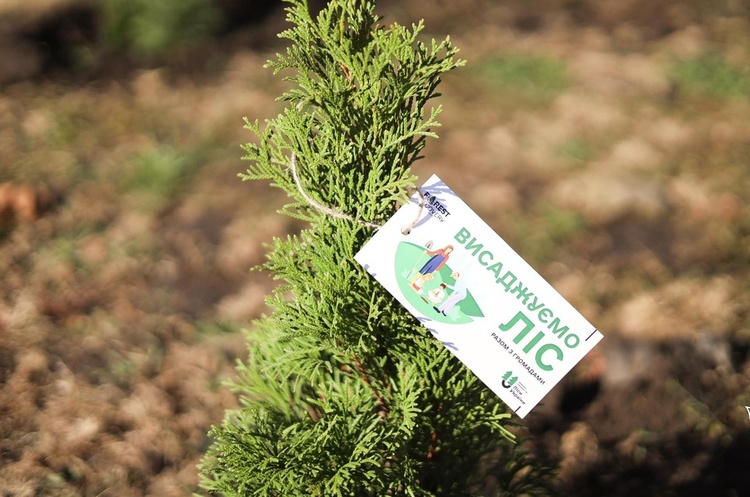 «Ліси України» запустили програму порятунку лісів Forest Recovery «Ліси України» запустили програму порятунку лісів Forest Recovery
