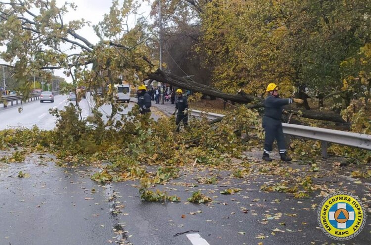 У Києві виявили 592 пошкоджених або повалених дерева – КМДА У Києві виявили 592 пошкоджених або повалених дерева – КМДА