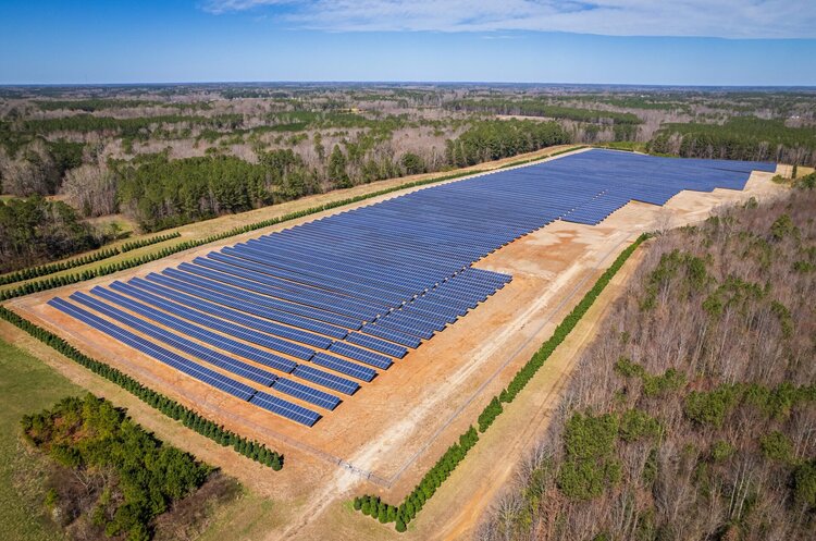 Фото: Рexels Canadian Solar інвестує $800 млн у будівництво заводу з виробництва сонячних батарей