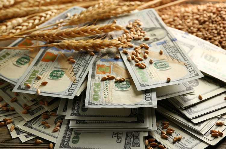 Уряд ввів нові правила для експорту агропродукції в умовах воєнного стану Уряд ввів нові правила для експорту агропродукції в умовах воєнного стану