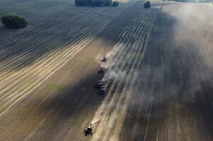 росія безкоштовно постачатиме зерно до Африки для зміцнення впливу на континенті – Bloomberg