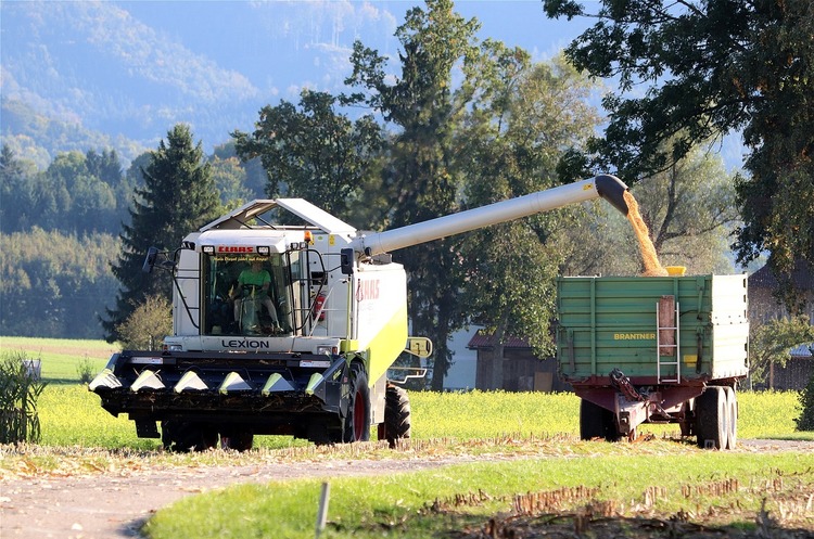 Фото: Рixabay Україна з початку року продала на зовнішні ринки агропродукції на $19,6 млрд