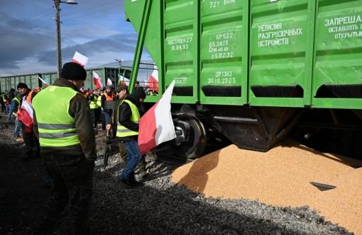 фото DR В Польщі знову розсипали зерно — цього разу сою, однак поліція вважає, що це зробили не фермери