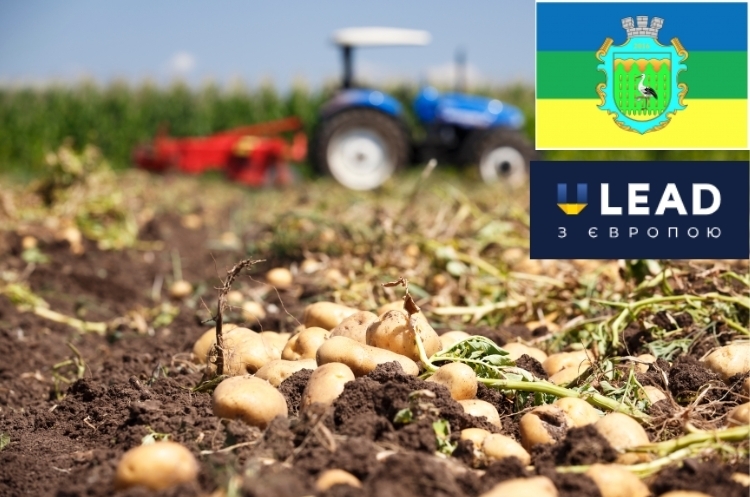 Використано сервіс Canva На Сумщині попри воєнні дії торік зібрали рекордний врожай картоплі