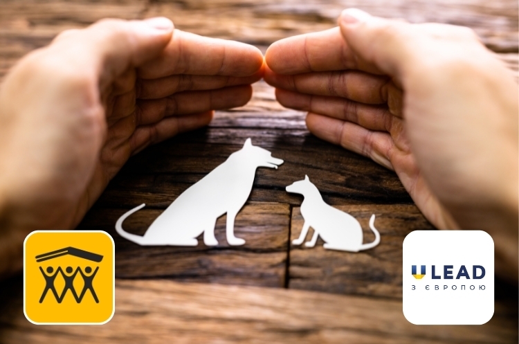 Громадам із 4 областей пропонується фінансування для розвитку молоді та зоозахисних ініціатив Громадам із 4 областей пропонується фінансування для розвитку молоді та зоозахисних ініціатив