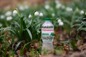   ? IDS Ukraine  