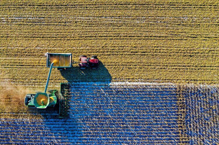 Фото: Рexels Мінагрополітики прогнозує цьогорічний врожай зернових та олійних культур приблизно в 74 млн тонн