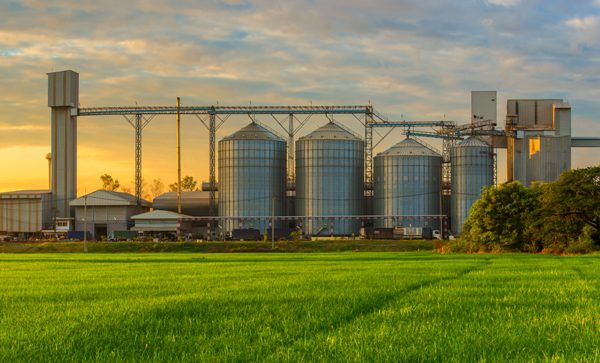 АМКУ дозволив голландській компанії Renaisco B.V купити 50% вінницького елеватора АМКУ дозволив голландській компанії Renaisco B.V купити 50% вінницького елеватора
