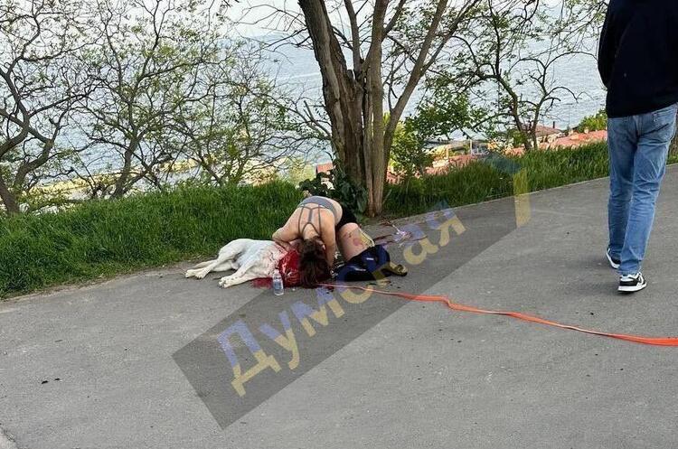 фото з відкритих джерел ОНОВЛЕНО: В Одесі через ракетну атаку загинули четверо людей і собака, серед поранених є дитина