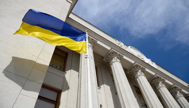 Рада підтримала протидію домашньому насильству за ознакою статі Рада підтримала протидію домашньому насильству за ознакою статі