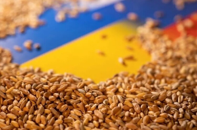 На ринок експорту українського зерна заходить більше страховиків: експортувати стало простіше – Кіпер На ринок експорту українського зерна заходить більше страховиків: експортувати стало простіше – Кіпер
