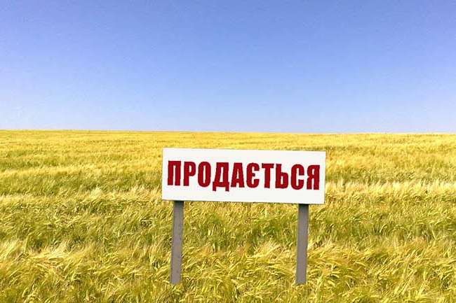 Земельну ділянку на острові на Дніпрі під Києвом повторно виставили на торги Земельну ділянку на острові на Дніпрі під Києвом повторно виставили на торги