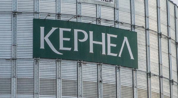 Акції «Кернел» різко девальвували через їхню високу волатильність – експерт Акції «Кернел» різко девальвували через їхню високу волатильність – експерт