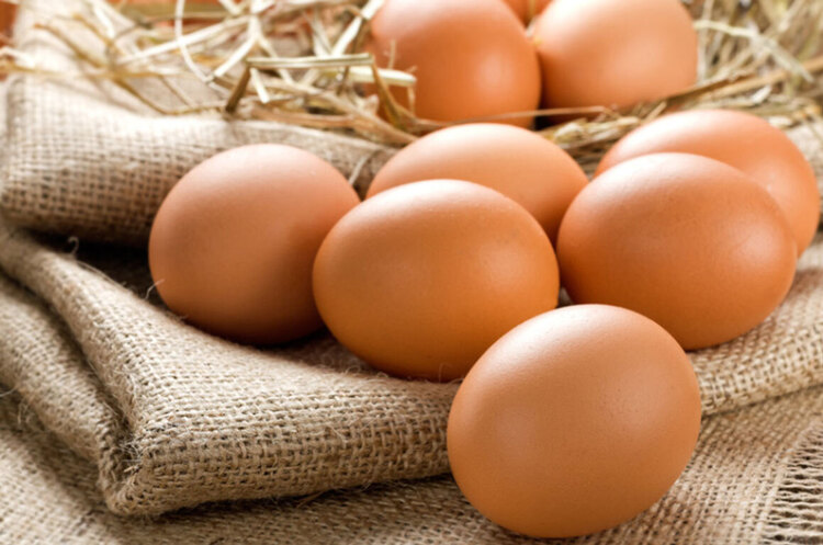 Канада відкрила для українських виробників ринок експорту яєчних продуктів Канада відкрила для українських виробників ринок експорту яєчних продуктів