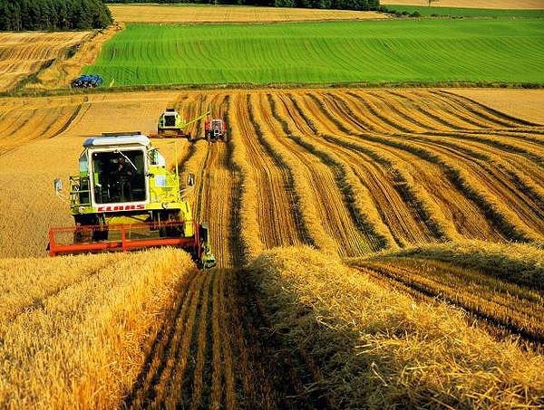 З липня цього року Україна зможе експортувати понад 60 млн тонн агропродукції – Висоцький З липня цього року Україна зможе експортувати понад 60 млн тонн агропродукції – Висоцький