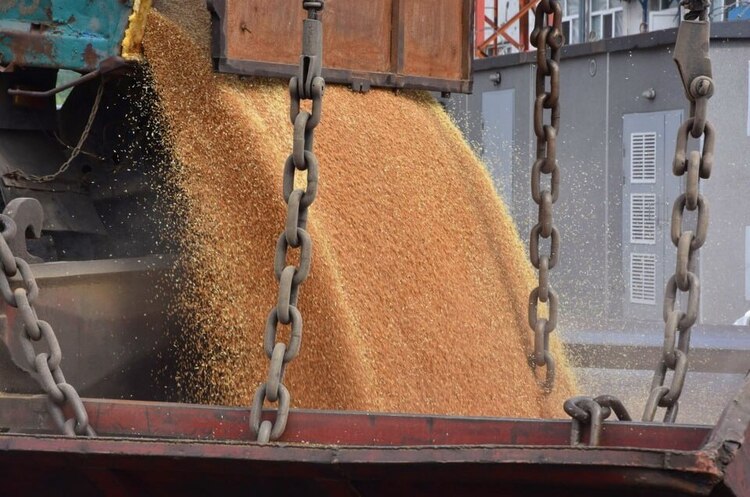 Підсумки зернового сезону: Україна експортувала майже 51 млн тонн зернових