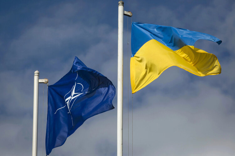 Україна впровадила 324 стандарти НАТО станом на липень 2024 року – Міноборони Україна впровадила 324 стандарти НАТО станом на липень 2024 року – Міноборони