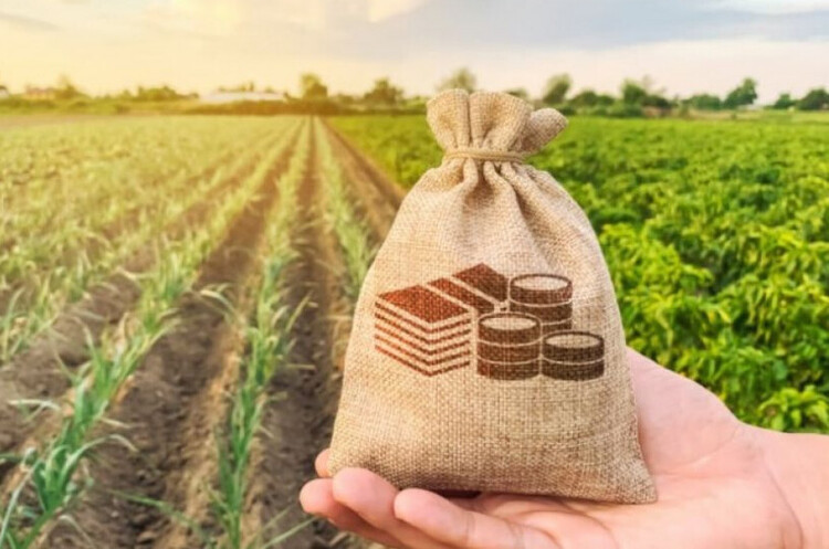 У 2024 році через платформу «Прозорро.Продажі» реалізували земельні ділянки на суму 1 млрд грн У 2024 році через платформу «Прозорро.Продажі» реалізували земельні ділянки на суму 1 млрд грн