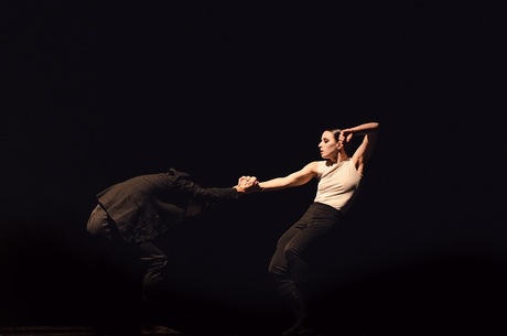 Insha Dance Company    :  - 1984. , Anima Oscura    ...