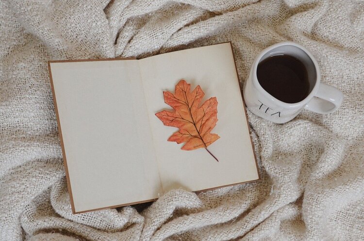 Фото: pixabay.com Дайджест книжкових новинок жовтня: механізми дезінформації, Кирило і Мефодій, котяча філософія і не тільки