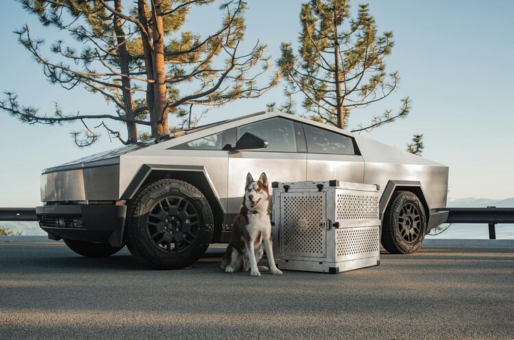 Фото: Рexels Tesla вшосте за рік відкликає партію пікапів Cybertruck
