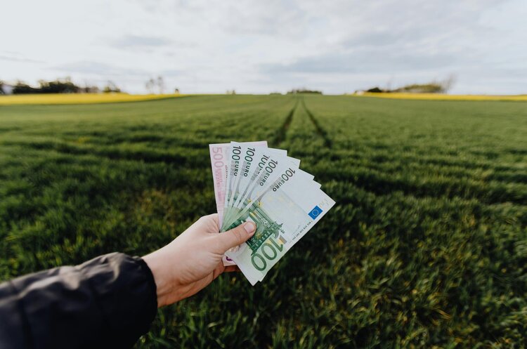 Фото: Рexels Світовий банк планує залучити $150 млрд на кліматичні проєкти