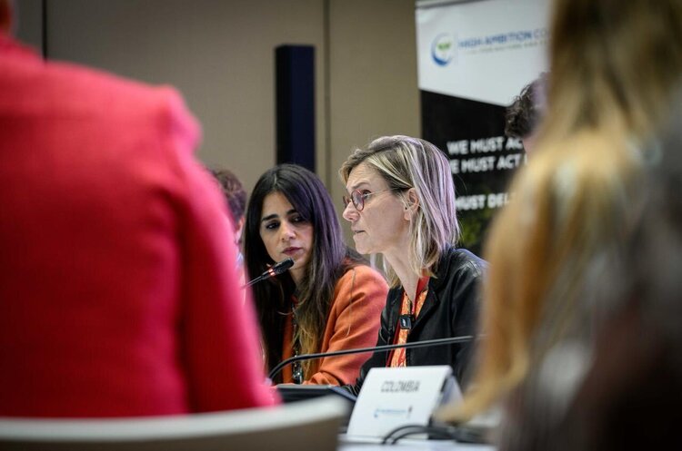 Agnès Pannier-Runacher Франція не братиме участі у кліматичному саміті COP29 через нападки президента Азербайджану Алієва