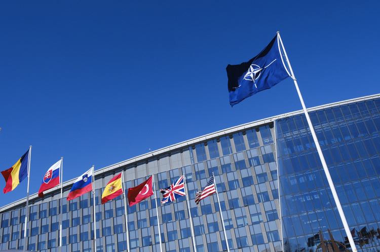 Парламентська асамблея НАТО закликає якнайшвидше прийняти Україну до Альянсу (оновлено) Парламентська асамблея НАТО закликає якнайшвидше прийняти Україну до Альянсу (оновлено)