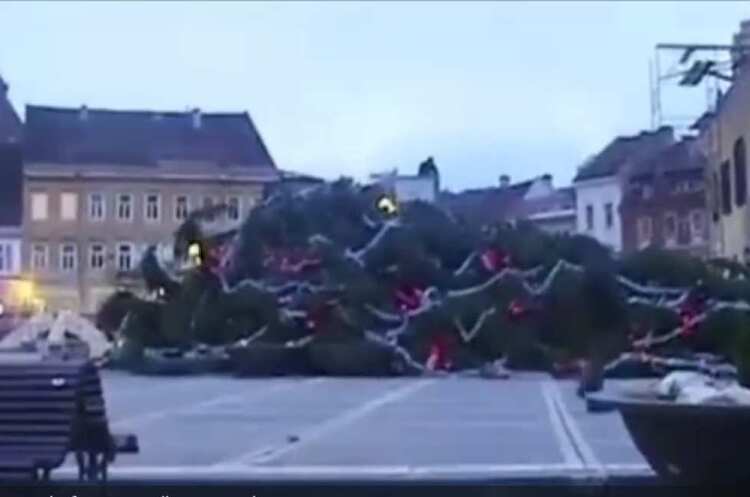 Фото: скриншот з відео У Румунії впала 29-метрова новорічна ялинка