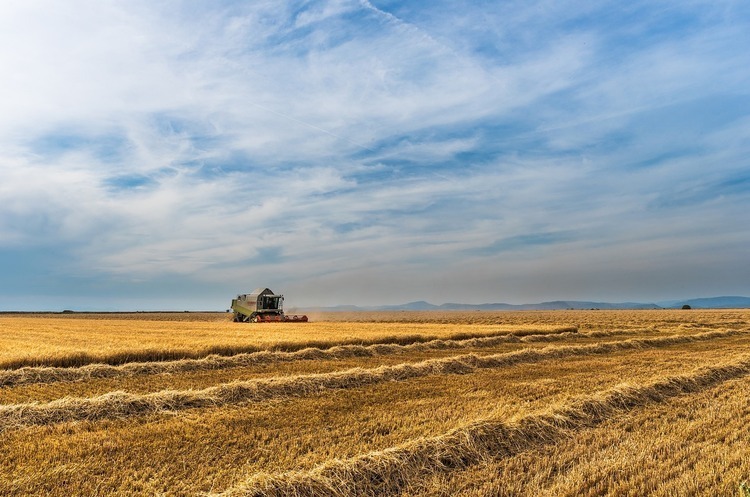 Фото: ілюстративне Аграрії забезпечують 60% експортної виручки України – Мінагрополітики