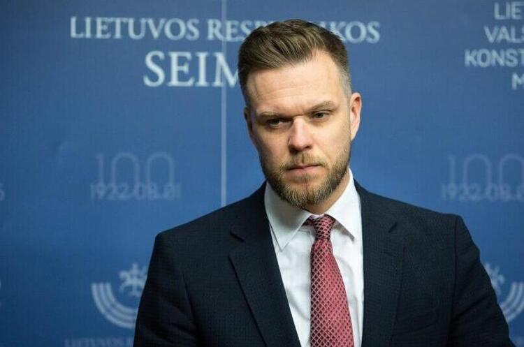 фото DR Габріелюс Ландсбергіс: «Переговори зараз у цих умовах були б капітуляцією і зрадою України»