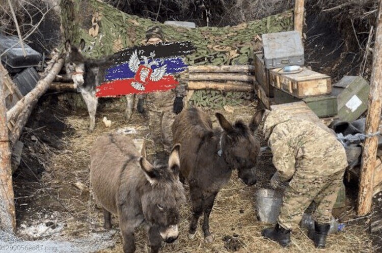 фото з соцмереж Через значні втрати техніки росіяни використовують для логістики віслюків – ЗМІ