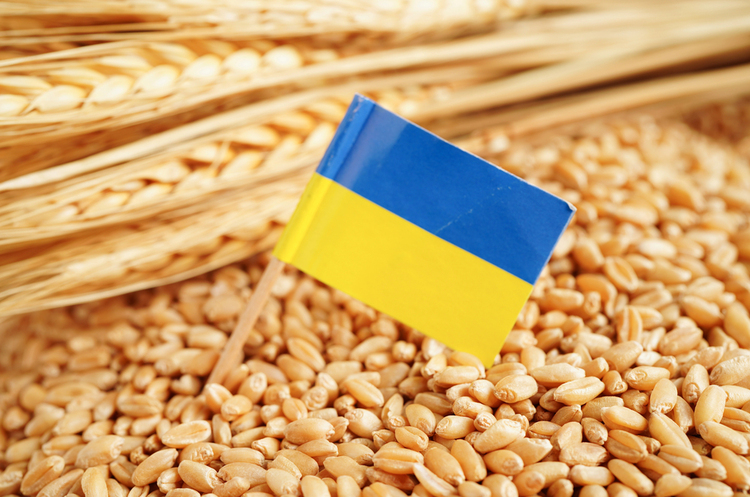 В Україні цього року суттєво зменшиться виробництво та експорт зерна – прогноз USDA В Україні цього року суттєво зменшиться виробництво та експорт зерна – прогноз USDA