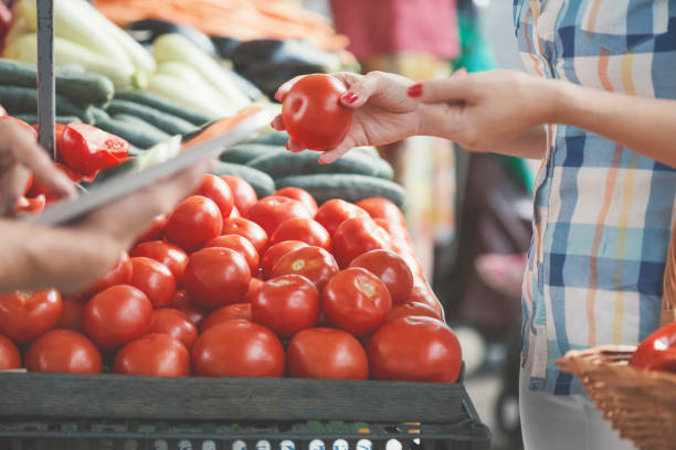 В Україні подешевшали імпортні помідори – аналітики EastFruit В Україні подешевшали імпортні помідори – аналітики EastFruit