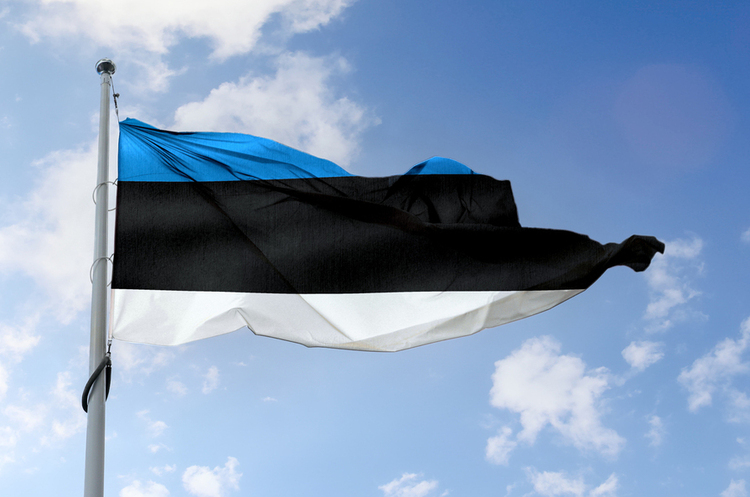Естонія надасть Україні військову допомогу на 100 млн євро Естонія надасть Україні військову допомогу на 100 млн євро