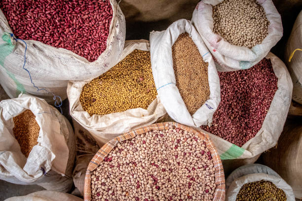 У Євросоюзі очікують на скорочення імпорту аграрної продукції з України У Євросоюзі очікують на скорочення імпорту аграрної продукції з України