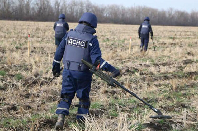 Зміни в розмінуванні сільгоспземель: хто та як тепер отримає компенсації Зміни в розмінуванні сільгоспземель: хто та як тепер отримає компенсації