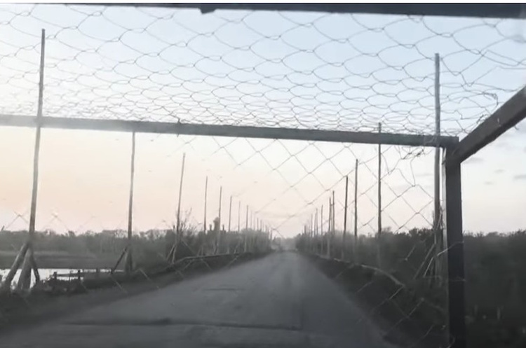 росія будує із сітки «тунельні дороги» проти дронів для просування військ на сході України росія будує із сітки «тунельні дороги» проти дронів для просування військ на сході України