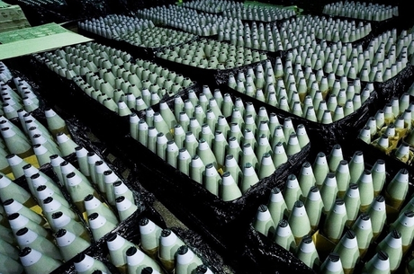        ,        Defence