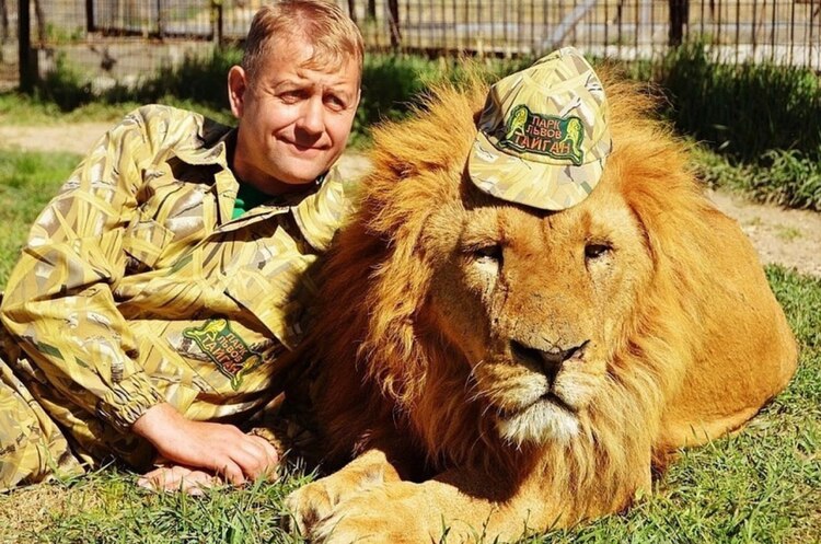 Лев напав на колаборанта Зубкова в сафарі-парку в окупованому росією Криму Лев напав на колаборанта Зубкова в сафарі-парку в окупованому росією Криму