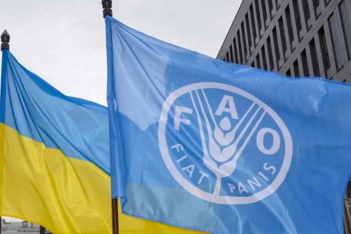 Фото: granty.org.ua Україну обрано до Ради Продовольчої організації ООН – МЗС