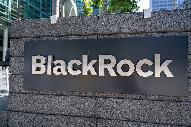 BlackRock більше не шукає інвесторів для відновлення України – Bloomberg BlackRock більше не шукає інвесторів для відновлення України – Bloomberg