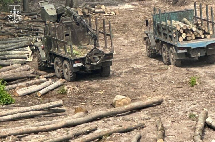 Фото: Офіс генерального прокурора Завдали збитків на 167 млн грн: в Україні викрили масштабну схему розкрадань деревини